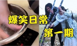 爆料搞笑日常视频大全,视频大全里的欢乐瞬间